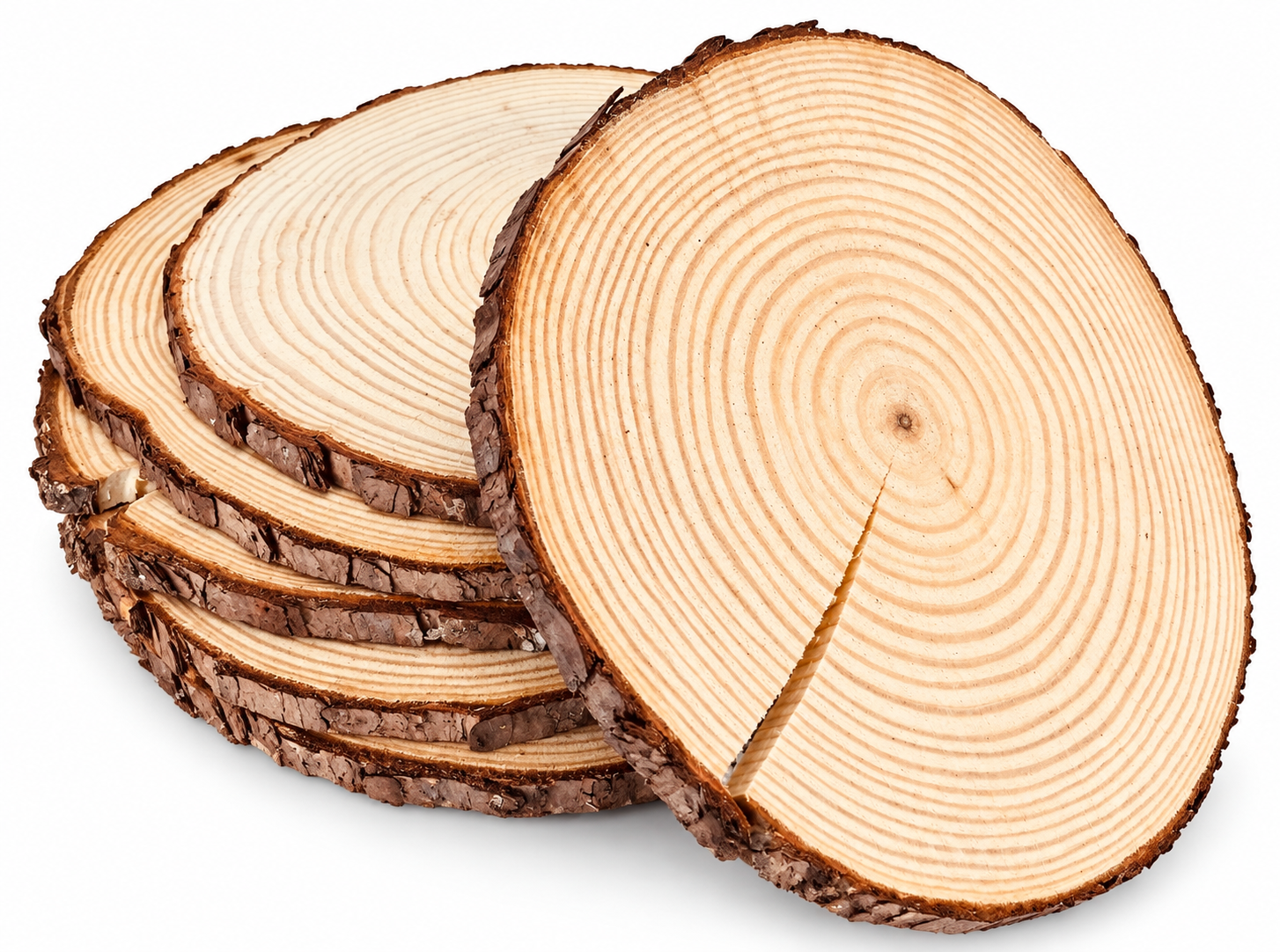 Wood Tree Centerpiece Platter 8" Round